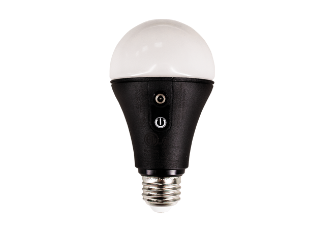 ADMIRAL Vintage + ASTERA NYX bundle - Bilde 3