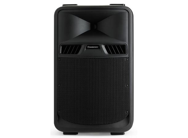 AUDIOPHONY SR12P Passiv høyttaler