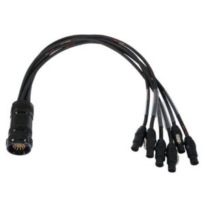 ELUMEN8 Socapex19-Pin Male-True1