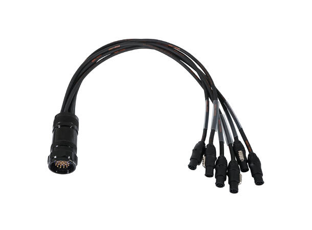 ELUMEN8 Socapex19-Pin Male-True1