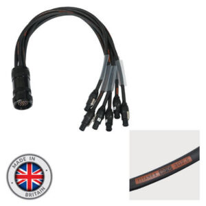 ELUMEN8 Socapex 19 Male to 6 x True1