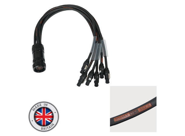 ELUMEN8 Socapex 19 Male to 6 x True1