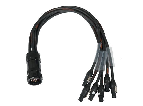 ELUMEN8 Socapex 19 Male to 6 x True1 - Bilde 2