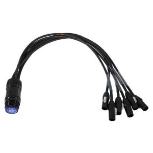 ELUMEN8 True1 - Socapex 19-Pin Female