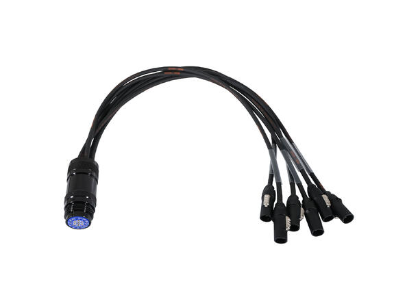 ELUMEN8 True1 - Socapex 19-Pin Female