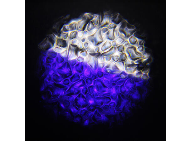 EQUINOX EQLED373 Waterwave XP - Bilde 7