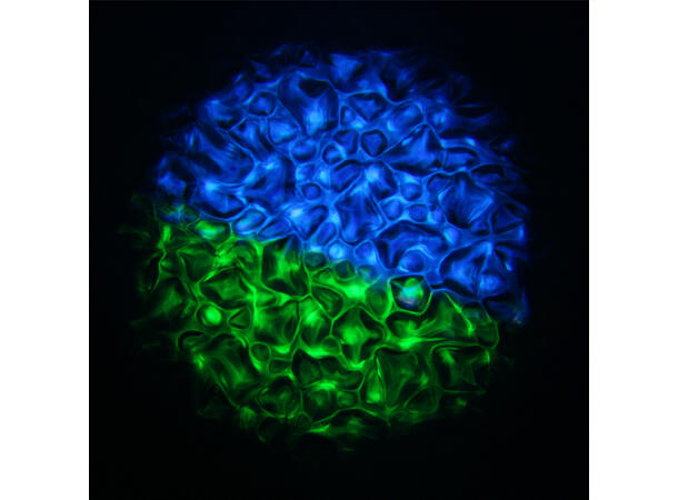 EQUINOX EQLED373 Waterwave XP - Bilde 9