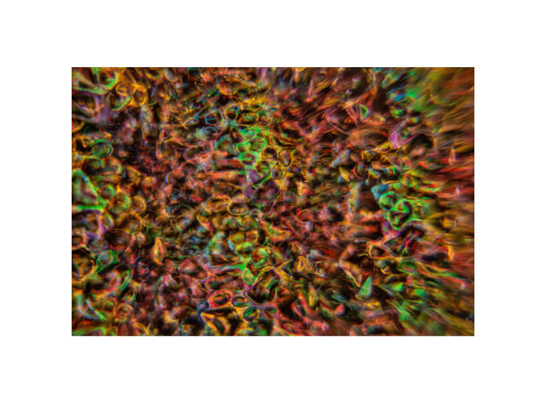 JB SYSTEMS Delusion Wall projector - Bilde 2