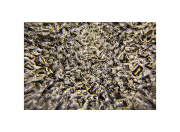 JB SYSTEMS Delusion Wall projector - Bilde 7