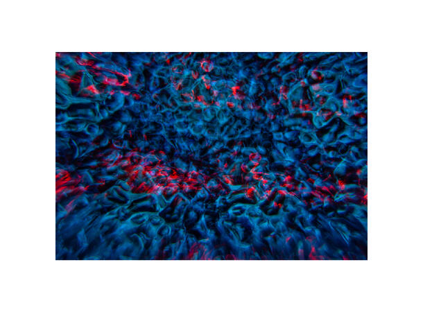 JB SYSTEMS Delusion Wall projector - Bilde 11