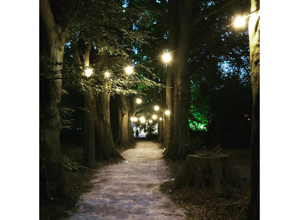 PCE 100m BC Lyslenke - Bilde 3