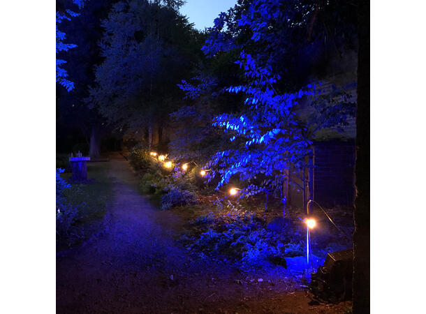 PCE 100m BC Lyslenke - Bilde 4