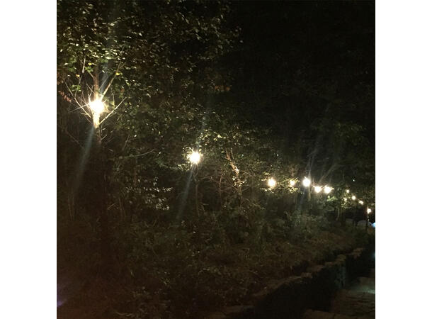 PCE 100m BC Lyslenke - Bilde 5