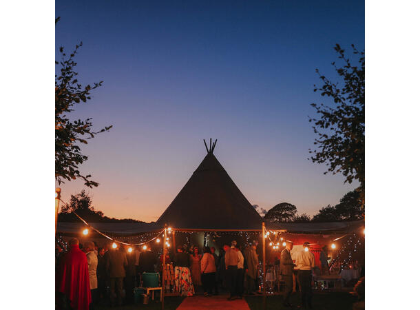 PCE 100m BC Lyslenke - Bilde 7