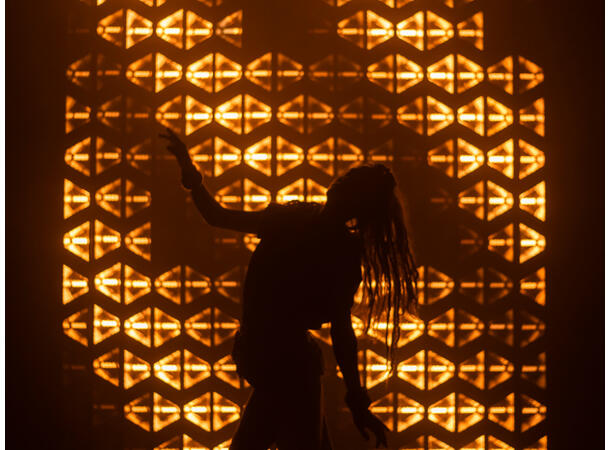 PORTMAN S-Tribe - Bilde 11