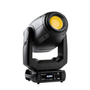 ROBE ROBIN PAINTE, HCF, STLC