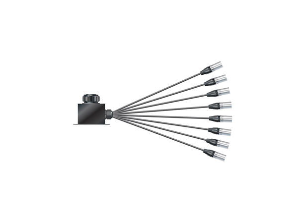 SOMMER Isopod LK Fan-in (08/00)