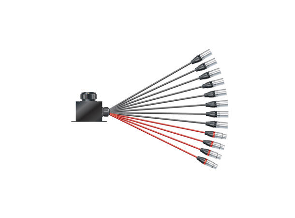 SOMMER Isopod LK Fan-in (08/04)