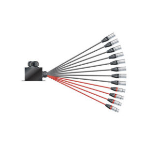 SOMMER Isopod LK Fan-in (08/04)