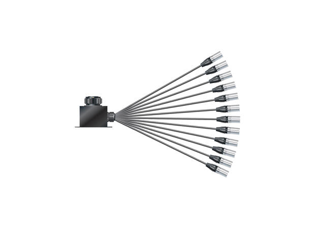 SOMMER Isopod LK Fan-in (12/00)