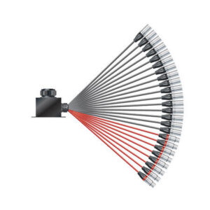 SOMMER Isopod LK Fan-in (16/08)