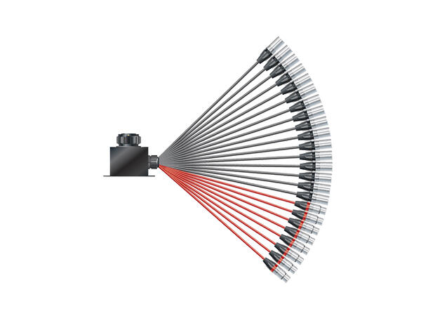 SOMMER Isopod LK Fan-in (16/08)