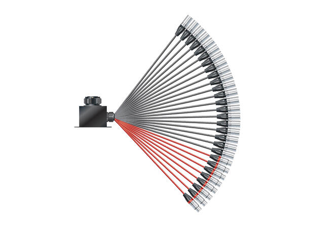 SOMMER Isopod LK Fan-in (20/08)