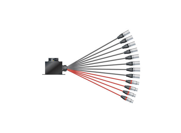 SOMMER Isopod LK Fan-out (08/04)