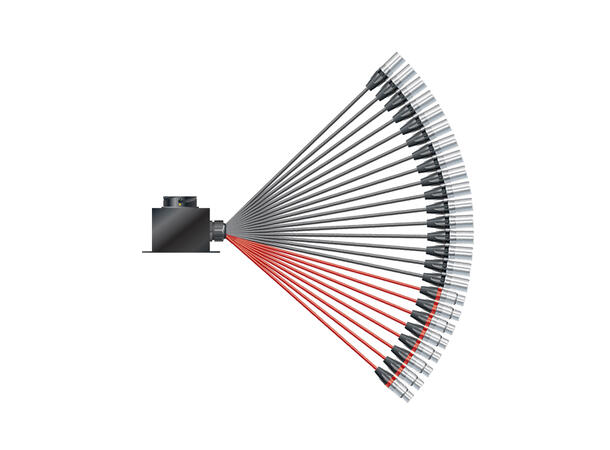 SOMMER Isopod LK Fan-out (16/08)