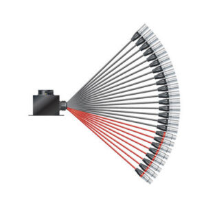 SOMMER Isopod LK Fan-out (16/08)