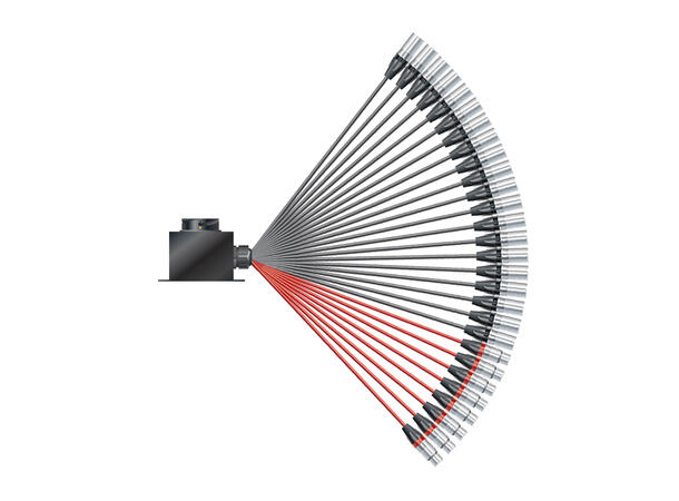 SOMMER Isopod LK Fan-out (20/08)