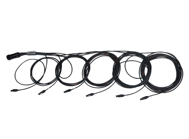 TOURMATE Socapex19 Male to 6 x True1