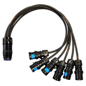 ELUMEN8 16A Male - Socapex 19-Pin Female