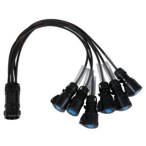 ELUMEN8 Socapex 19-Pin Male-16A Female