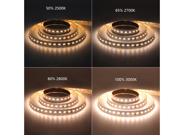 SBL LED Strip Dim-to-Warm 1800-3000K - Bilde 2