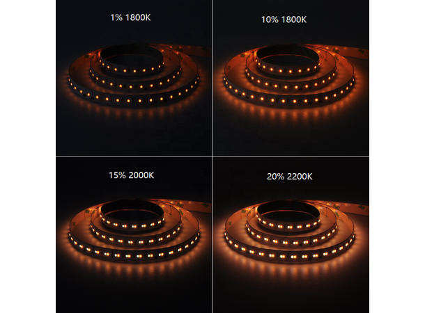 SBL LED Strip Dim-to-Warm 1800-3000K - Bilde 3