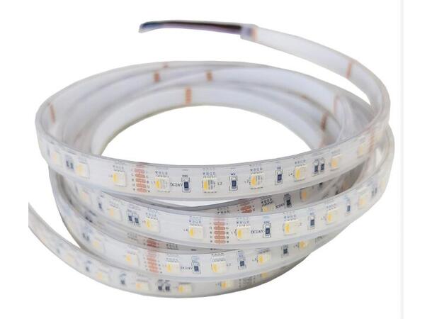SBL LED Strip RGB+CW, 14,4W/m 24VDC IP68