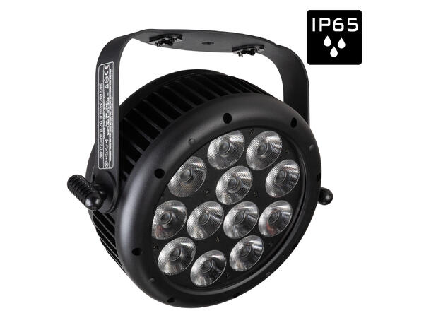 BRITEQ BTI-Flatpar 12 LED Par, IP65