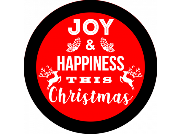 Prolights Gobo xmas Joy Greetings 2